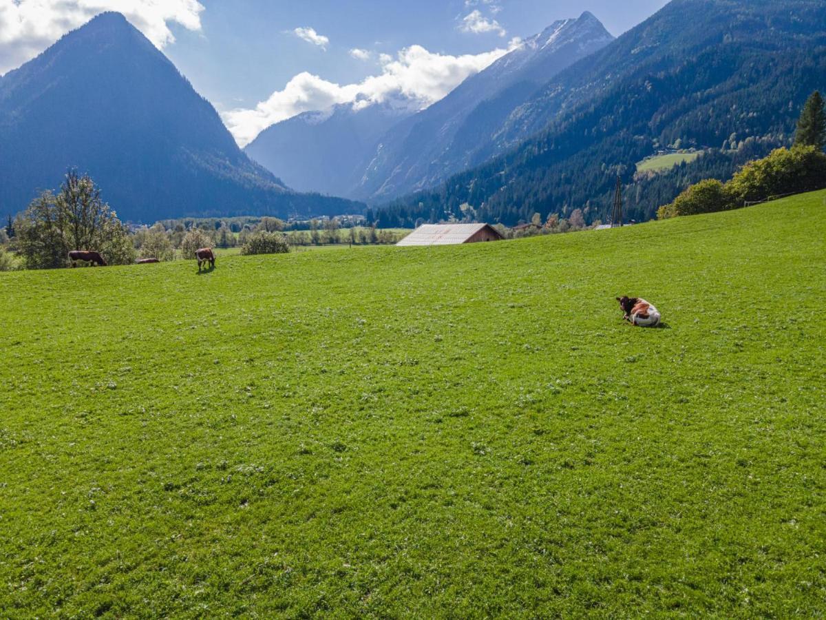 Landhaus Hotter 26 Neukirchen am Großvenediger Exteriör bild